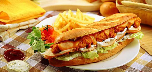 سندويش زنكر عادي